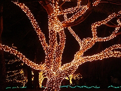 059 Toledo Zoo Light Show [2008 Dec 27]